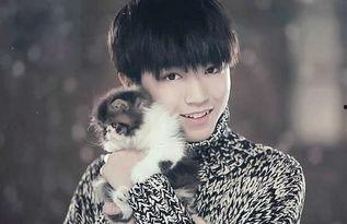 吃瓜八卦娱乐圈陈哲远,娱乐圈吃瓜达人,揭秘明星幕后故事 第2张 吃瓜八卦娱乐圈陈哲远,娱乐圈吃瓜达人,揭秘明星幕后故事 第2张